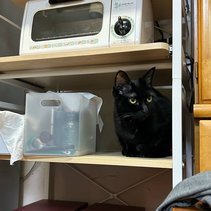 8e5e856d 65b1 4fd9 8458 967dd785320e 1678620252568