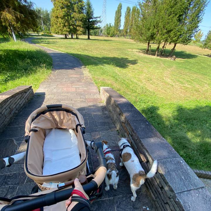 8e5eb149 1d78 41c1 a892 9ec0fd82b2f7 1633241244499