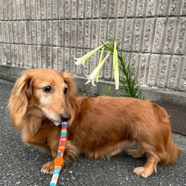 8e5edc22 a1c5 4b3e 94c9 e0c4cf29cbf6 1722905546712