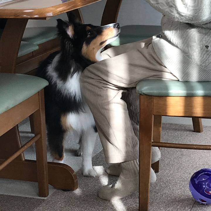 8e5f0a15 929a 48db a082 dc130636baf3 1523570022882