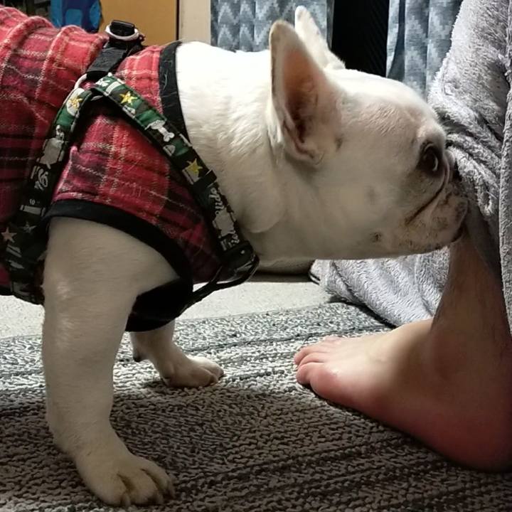 8e5f306c 9255 42c8 a98a 56ac8d450a78 1645354635900