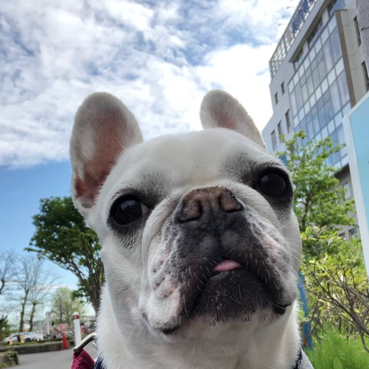 8e5f5cef dbae 41bf 87e2 7b09e97b5a1e 1618705198592