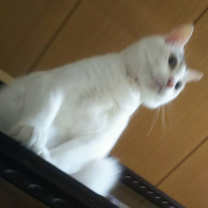 8e5f873e 3ee1 4da1 896d c7ff94771200 1561027720980