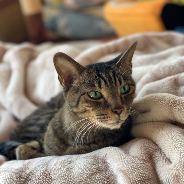 8e5f9ba1 fb24 48f8 b792 01dcdf37555f 1611798115387