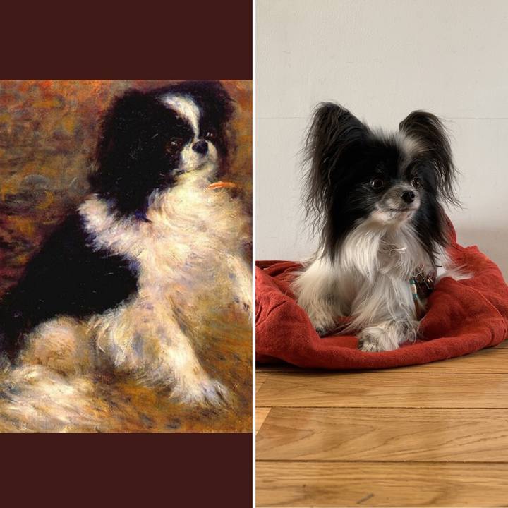 8e5fb1c4 777a 4662 8805 6462bcce56dc 1608325149010