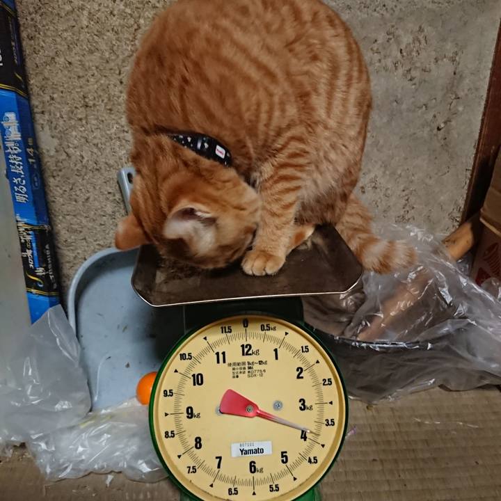 8e5fcaa7 8610 454d 8821 88a16f544edd 1640426839273