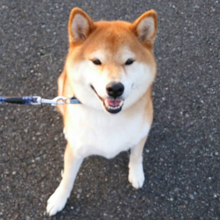 8e60033b 6b4f 4e89 8e74 8ad446bfddca 1561546368030