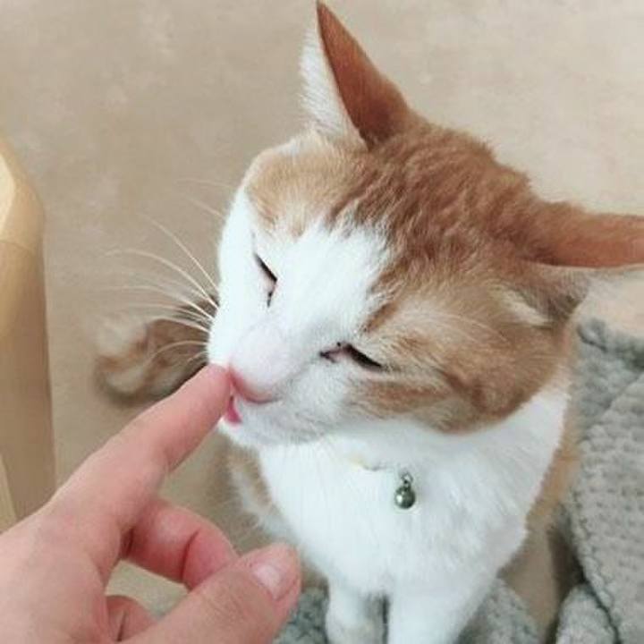 8e600560 5c30 4fa3 925c c217e76a688f 1525915883838