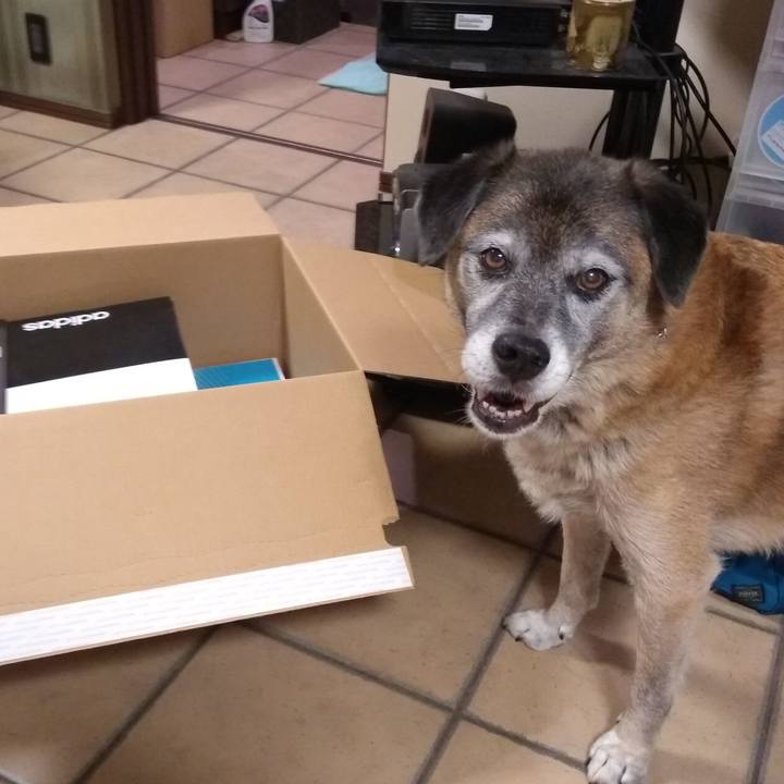 8e602df3 a755 4115 af39 0b507a51f7ac 1568890754396