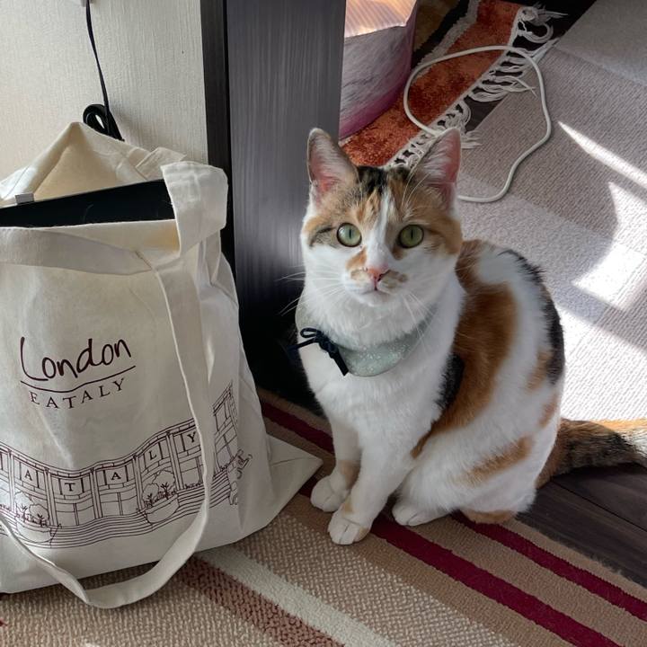 8e605d2f 8fc4 4c4b 9046 da746d26c9e7 1683181784143