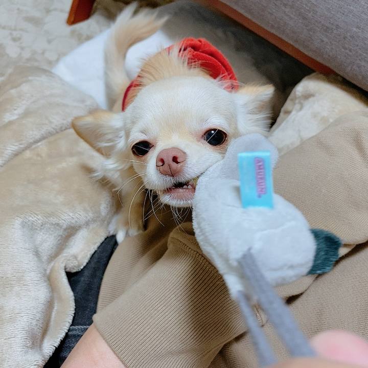 8e606230 ab3f 4722 8284 e14fc805a866 1609544343677