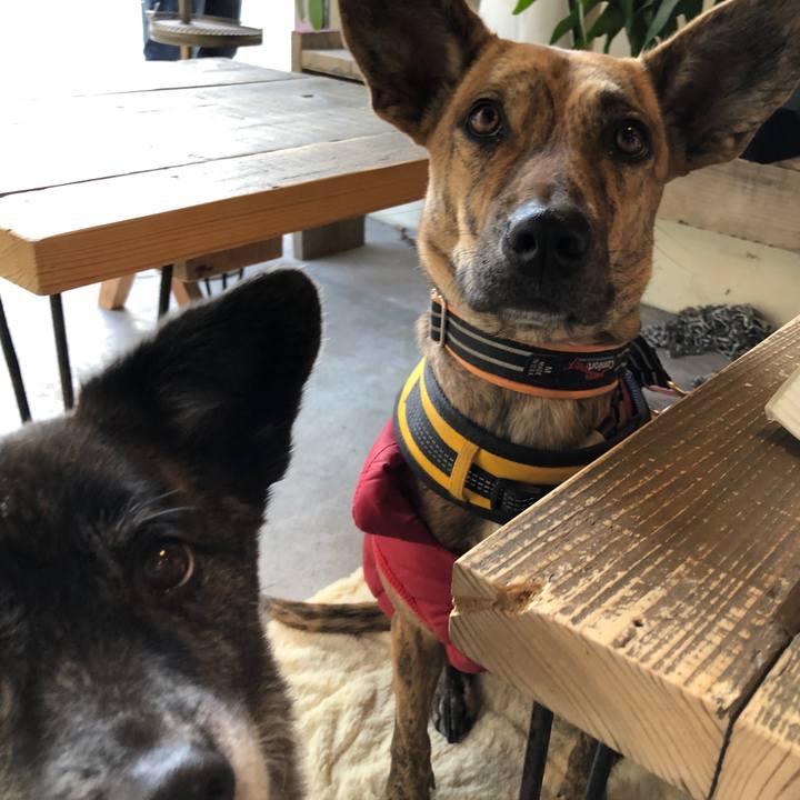 8e60764e 0c24 4a5b 9b7c 235fefbddbef 1610888286902