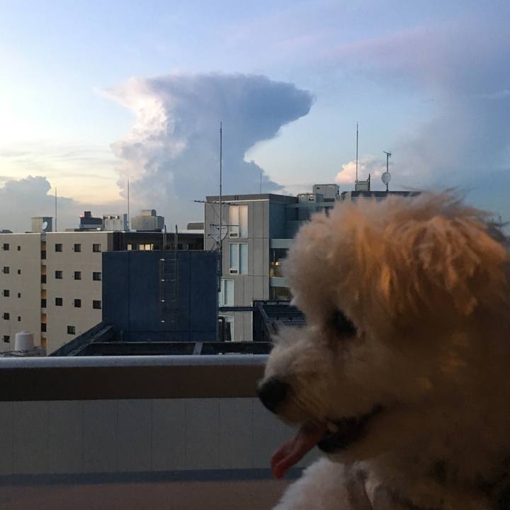 8e60793b 2115 43c3 be82 0cddbfd7366a 1535353399609