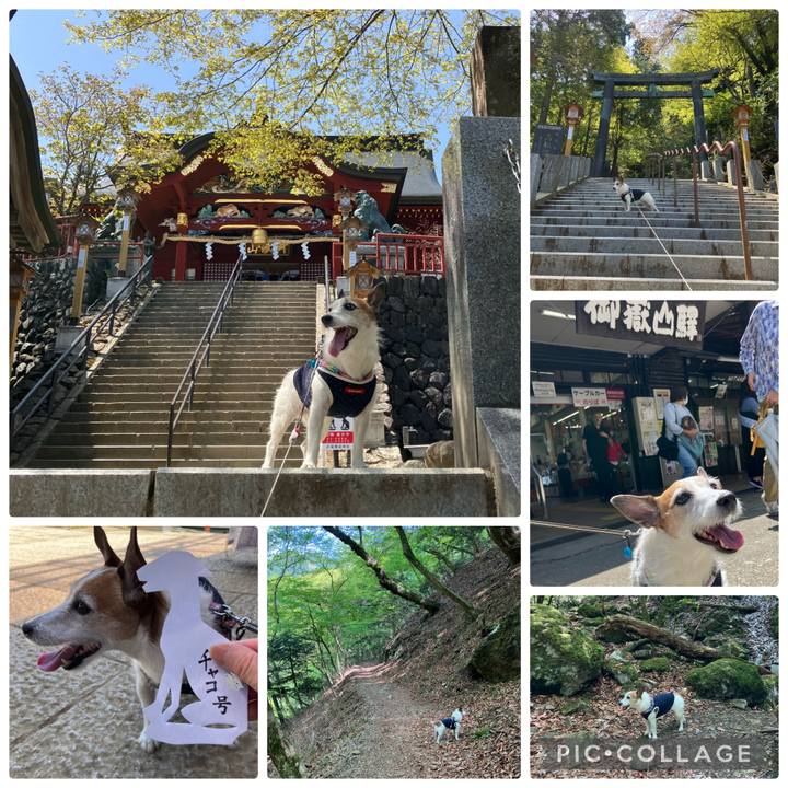 8e60810c 96d3 4ec0 b508 a90aa8efdc6e 1682033670682