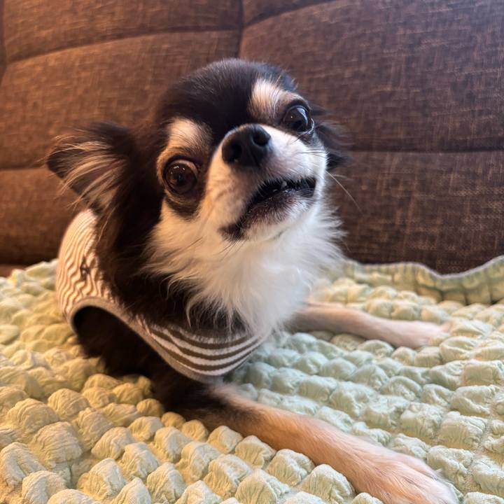 8e6082af 232f 4654 9e08 234a68352701 1726418381483