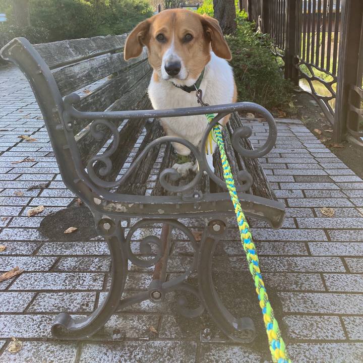 8e60af4e 4597 46f9 b34f 4eb7c41c2a35 1635294181108