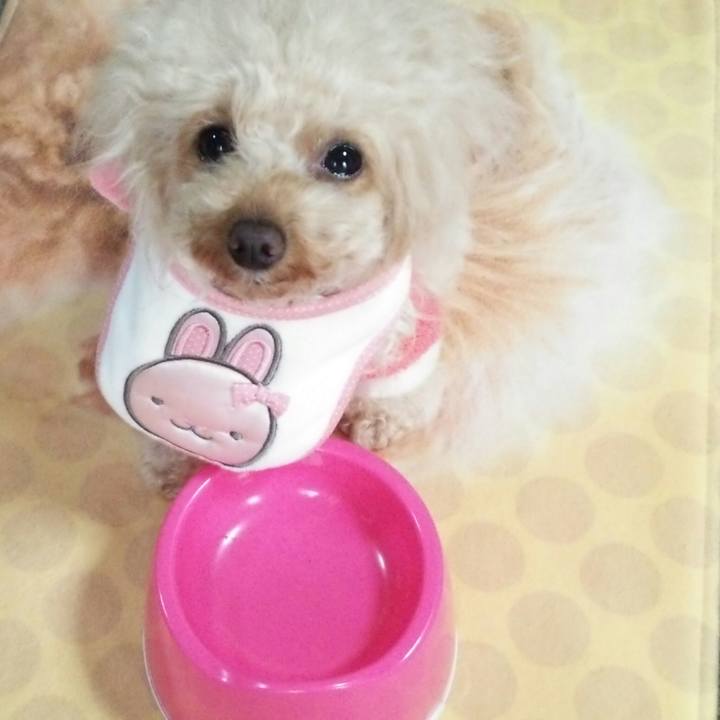 8e60e281 8ec5 46d3 958b 802311022fd5 1515629504306