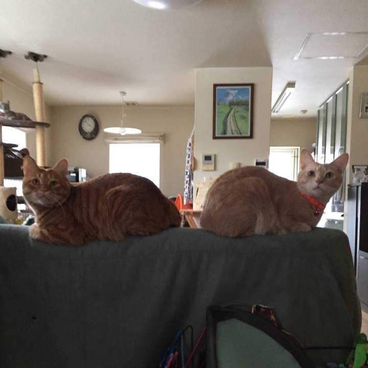 8e6148da 8b44 4490 835a e3ecb821e48b 1581945022461