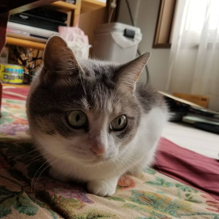 8e62436b 3fc6 43e3 a69f 06bed257ad1e 1538278818315