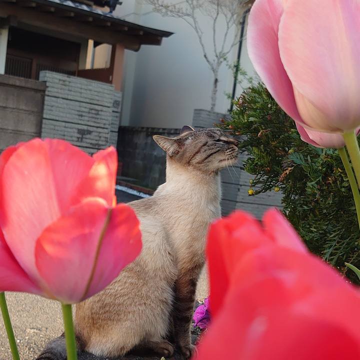 8e6245cc ed0a 4559 9471 9c5fbdea5042 1648975942579