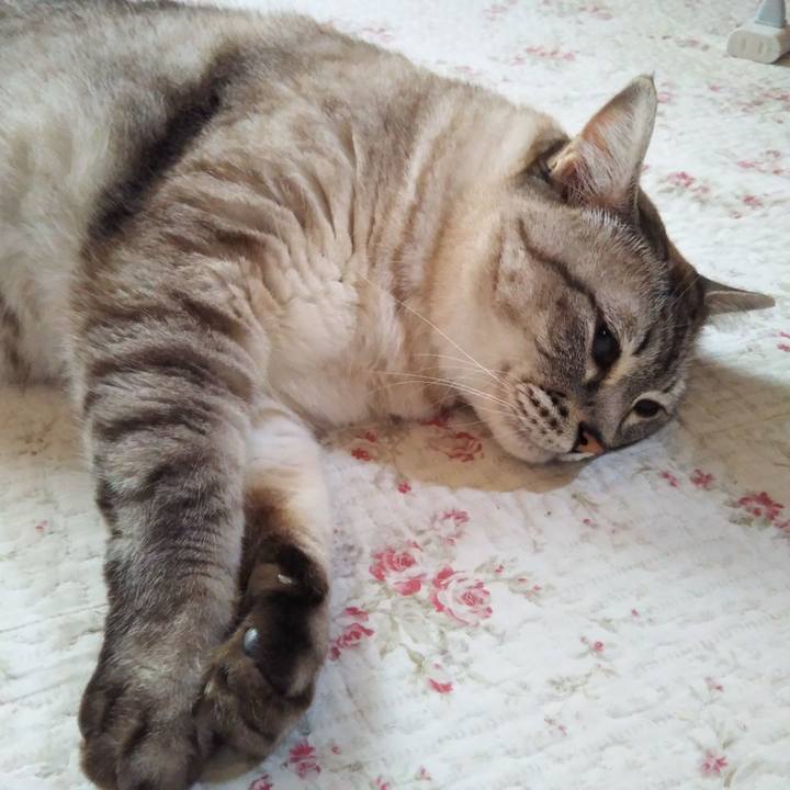 8e626086 7be2 4350 9290 888c283d8308 1627275732090