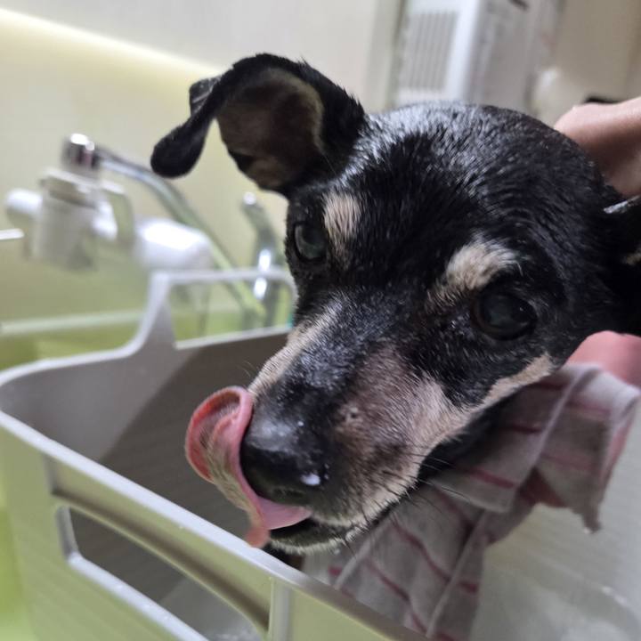 8e62681b c384 4ae6 94e3 942e1b199dbf 1770515723903