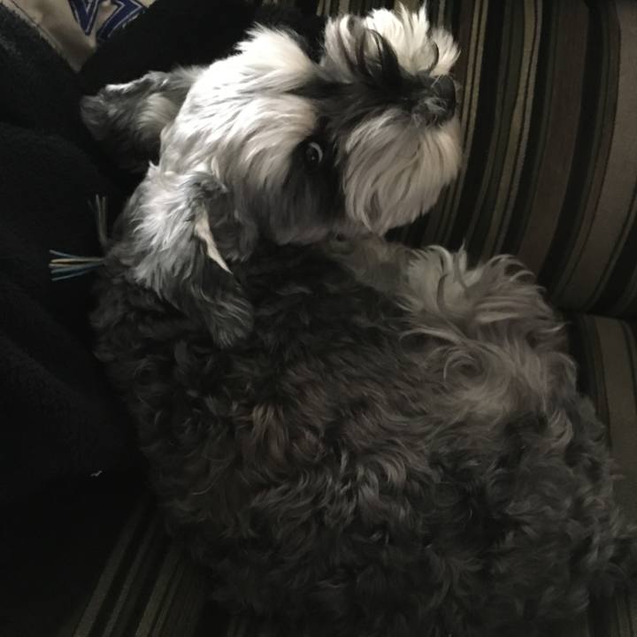 8e626938 4740 413e a47f 5233107fbc29 1578029427845