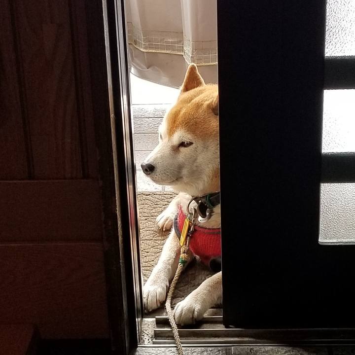 8e628fce a5cd 43c8 b50d 24510cbe88bc 1610253934813