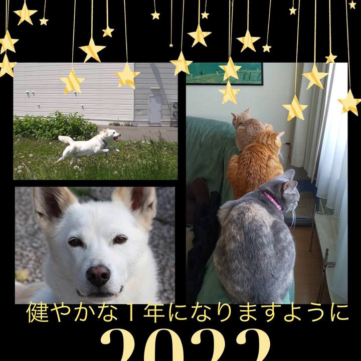 8e62a354 36a5 45e1 88a2 483f93a99e71 1641030034514