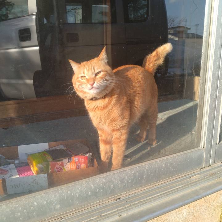 8e62bc58 89bc 4fcc 9648 ecb3e01e2bef 1677658134152