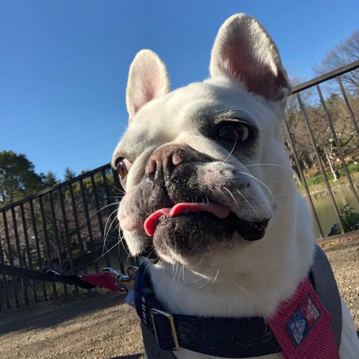 8e63051e 5fda 4454 a0e9 cb29772473d3 1584688696832