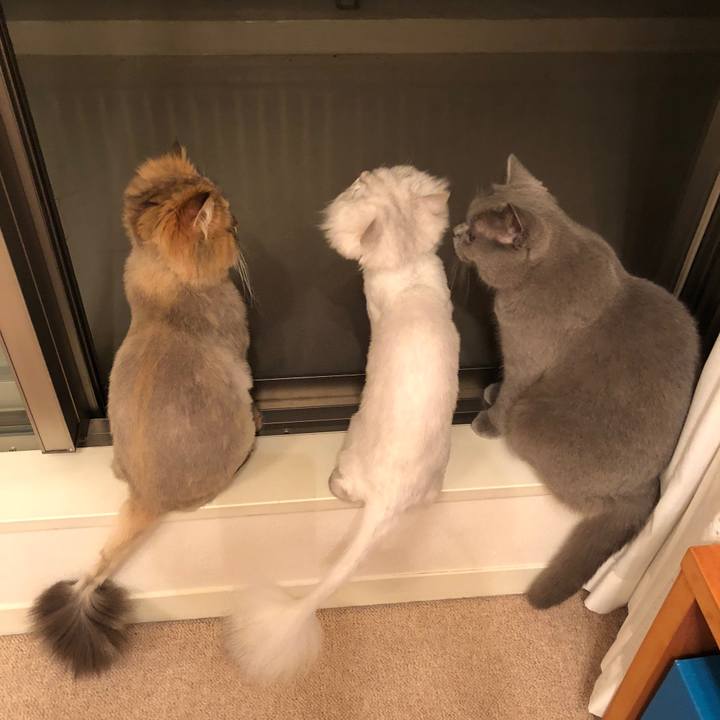 8e631671 3a57 464b bed5 3f04525112cd 1525183145684