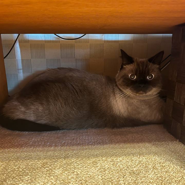 8e633414 8f25 43ff a089 7ec1963aea78 1663381383541