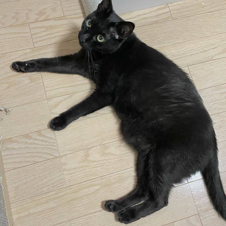 8e6371d3 acc4 422c 8cec 42ef7d8e4db0 1686658829050