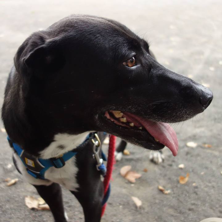 8e63e378 0cc3 4b5d 87cf 5820ad20f888 1632961658649