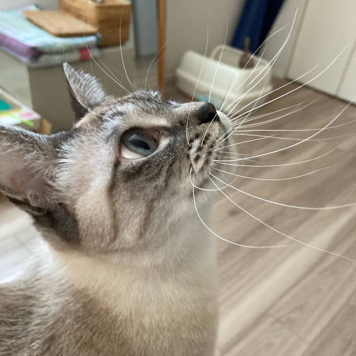 8e641dbb 666c 4b31 9060 471b2d24f6e9 1640395992820