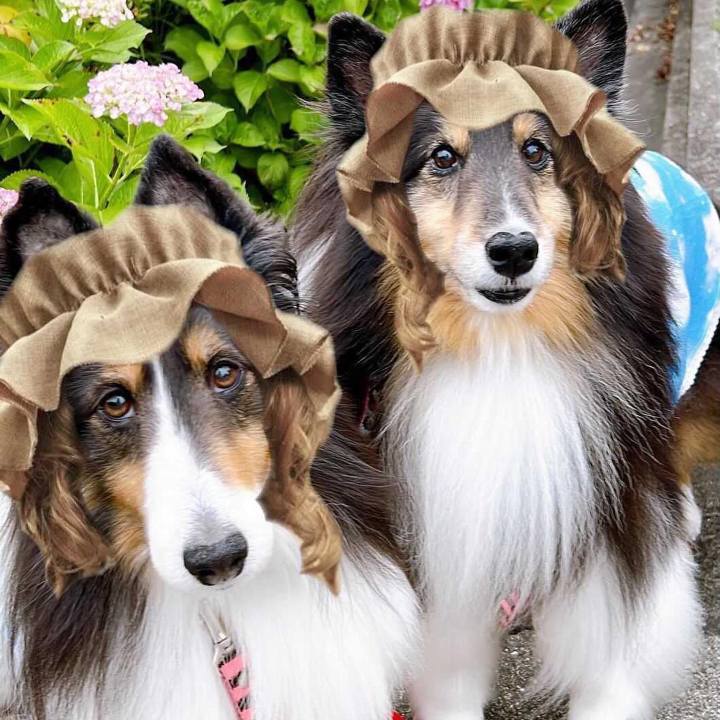 8e642728 e3bf 4c99 8ec0 66e81d86f38b 1657819019881