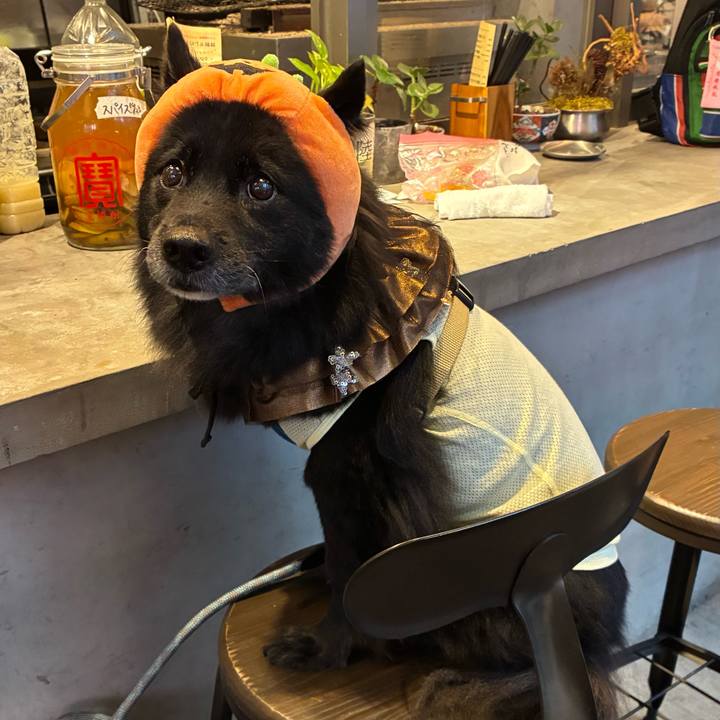 8e644136 2e41 41a1 83b7 8d788a27f245 1761464346186