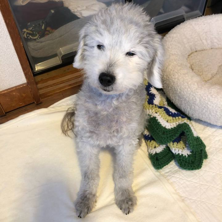 8e64426d 3a32 4654 8245 b299e8e0ea78 1592957003395