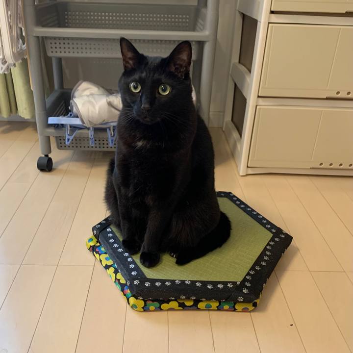 8e6469b1 5232 46d2 ad89 3e4d5714533e 1749095300033