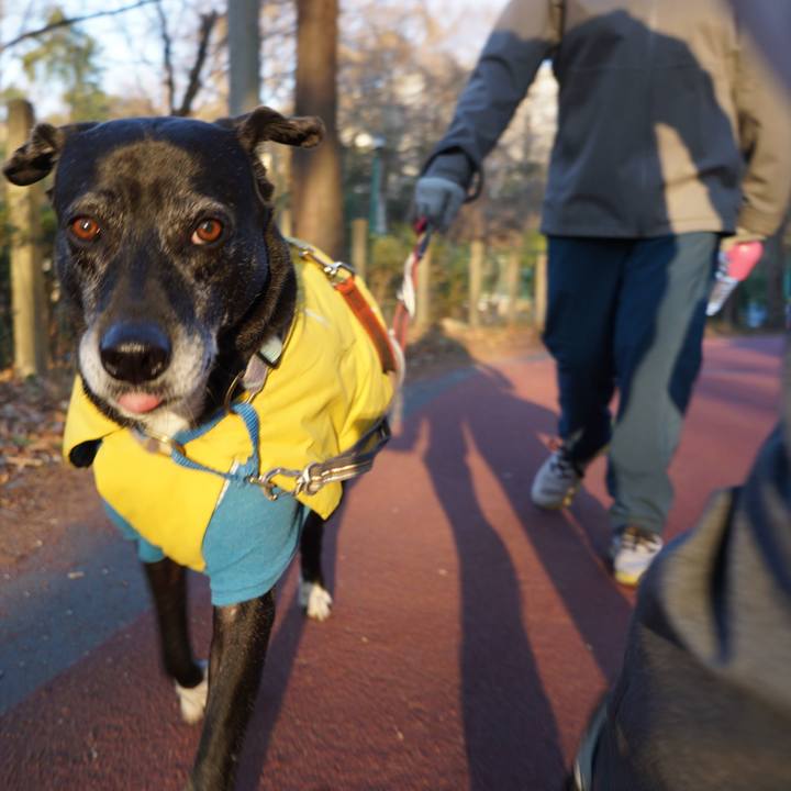 8e648462 6acb 4146 b31e 84d33c18eae1 1768271925498