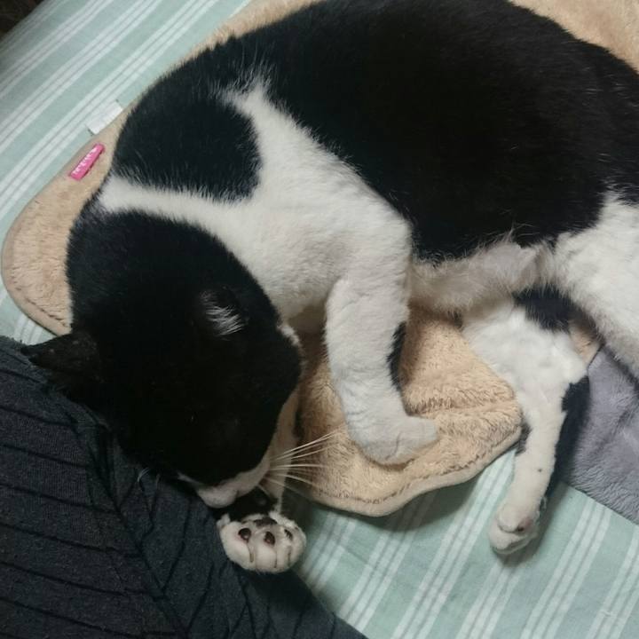 8e649a16 41a8 4334 bb3a 873ec631e84f 1508495219853