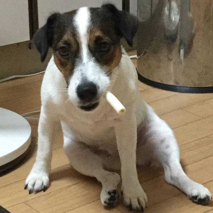 8e64ba3a dfb3 4a9c 8683 2e206a8cc297 1513121148347