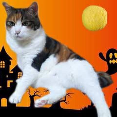 8e650c9c 9b3a 446a ad2f 016ee7739b74 1569128758799