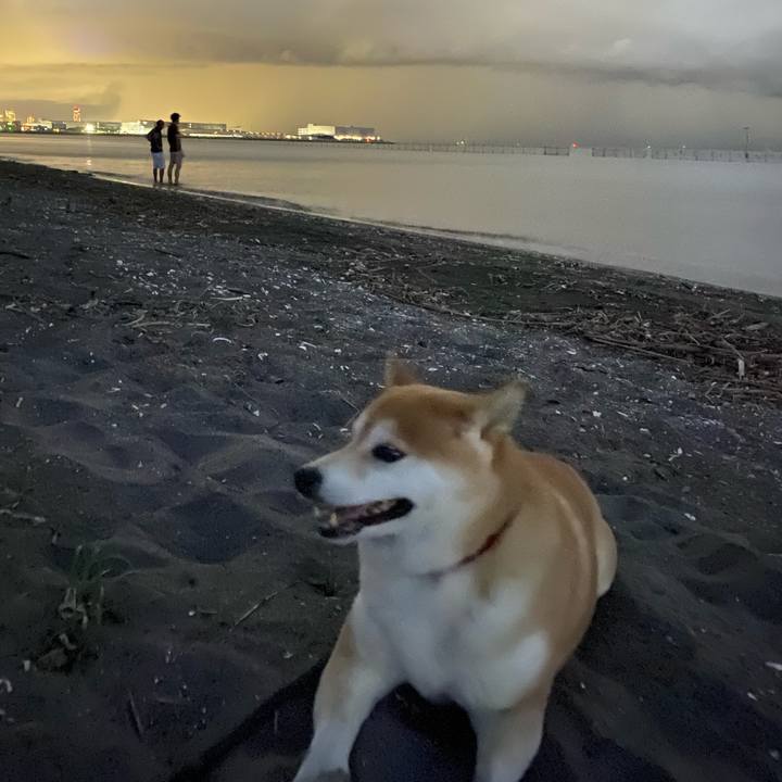 8e6523f9 73d6 4958 9beb 1e000414a798 1599387360929