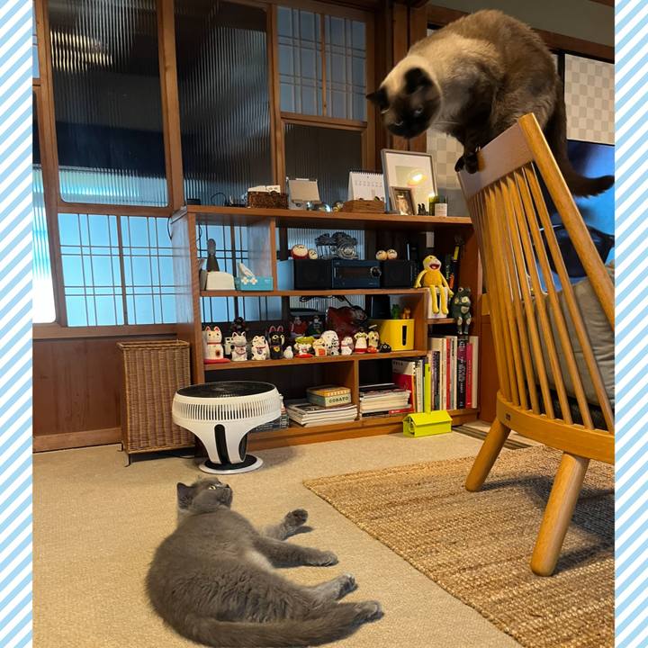 8e654103 ba35 4a6c b13f 7e4562d92526 1692522991491