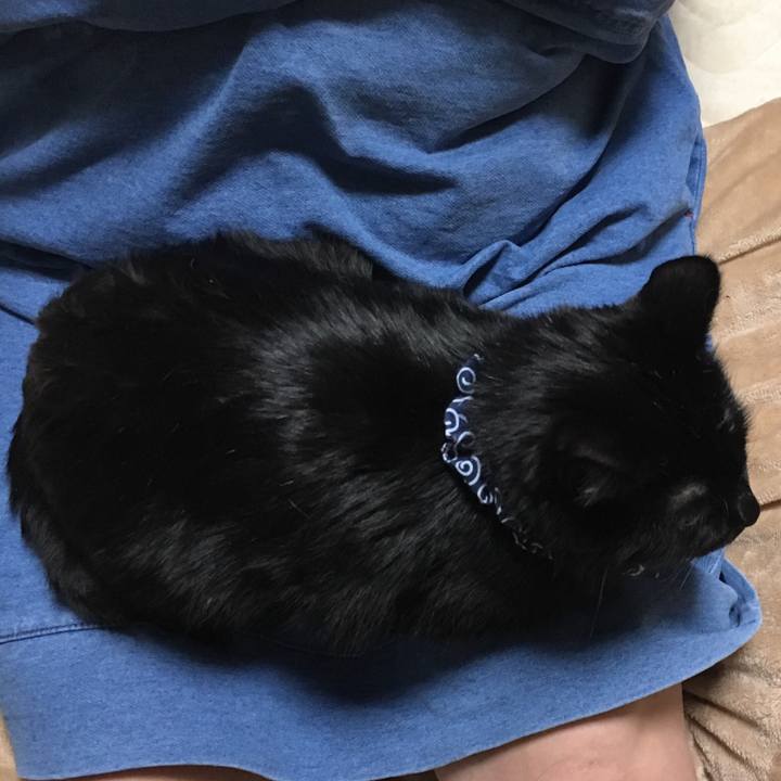 8e65655e a81e 49fe 9ae2 48522562c250 1547715543587