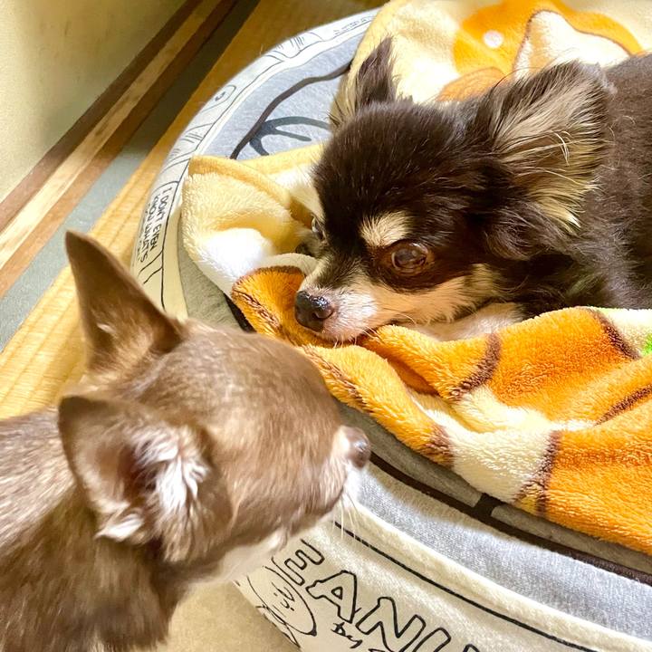 8e65705e d864 4183 9168 722d6b512d51 1731583314236