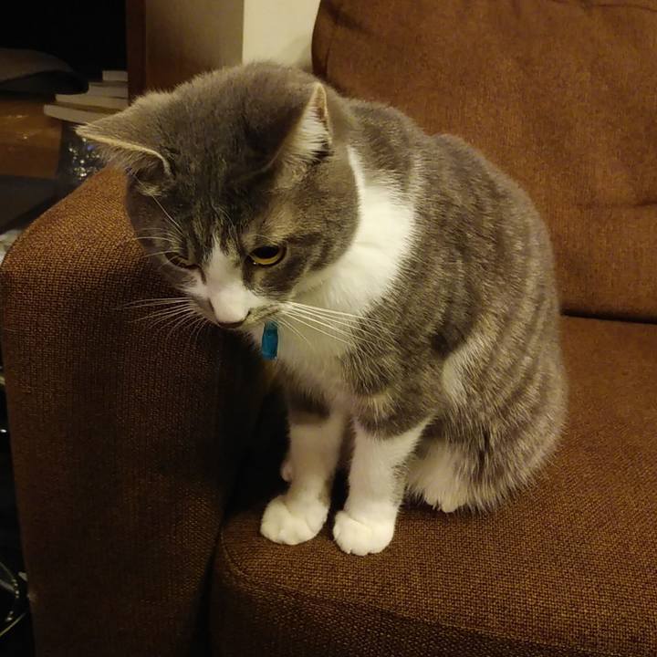 8e659d55 57ab 4273 98e4 8d415b4ee86a 1583673579047