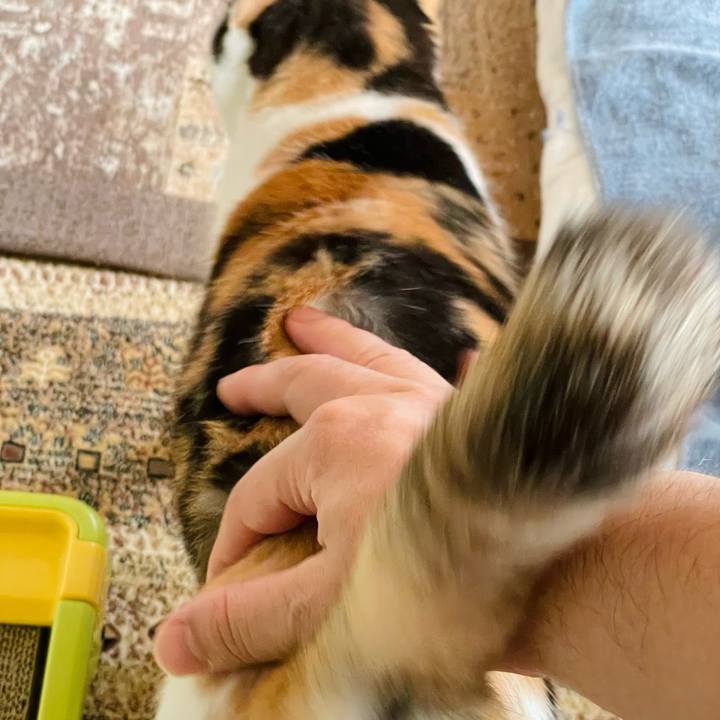 8e65df11 beb8 4320 95ae 800d49341612 1634524406584